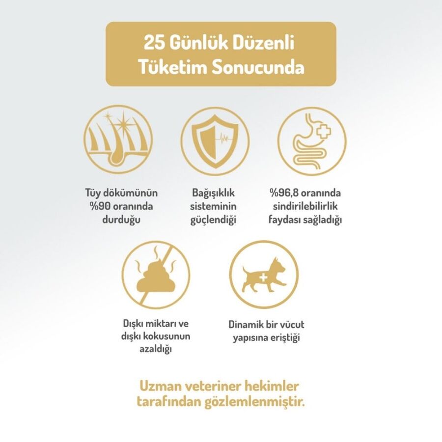 Felicia Düşük Tahıllı Hipoalerjenik Somonlu Küçük Irk Yetişkin Köpek Maması 3kg