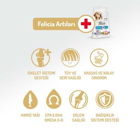 Felicia Düşük Tahıllı Hipoalerjenik Somonlu Orta ve Büyük Irk Yetişkin Köpek Maması 15kg - Thumbnail
