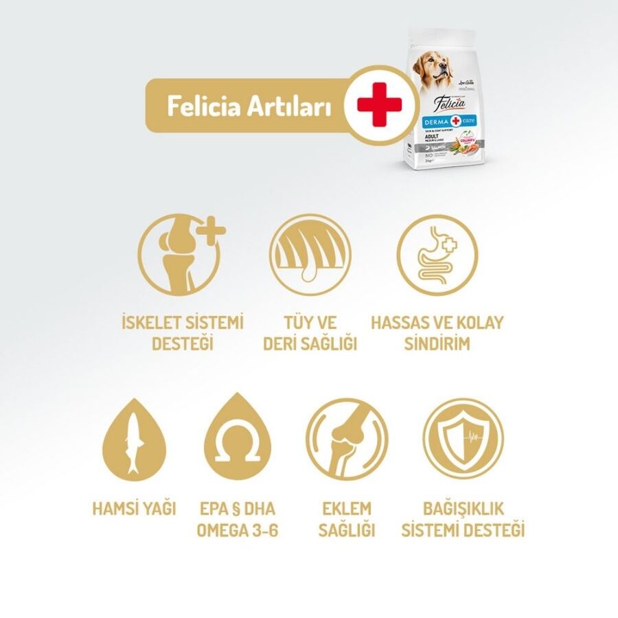 Felicia Düşük Tahıllı Hipoalerjenik Somonlu Orta ve Büyük Irk Yetişkin Köpek Maması 15kg Felicia Düşük Tahıllı Hipoalerjenik Somonlu Orta ve Büyük Irk Yetişkin Köpek Maması 15kg