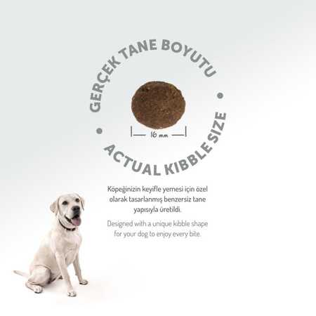 Felicia Düşük Tahıllı Hipoalerjenik Somonlu Orta ve Büyük Irk Yetişkin Köpek Maması 15kg - Thumbnail