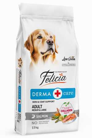 FELICIA - Felicia Düşük Tahıllı Hipoalerjenik Somonlu Orta ve Büyük Irk Yetişkin Köpek Maması 15kg FELICIA - Felicia Düşük Tahıllı Hipoalerjenik Somonlu Orta ve Büyük Irk Yetişkin Köpek Maması 15kg