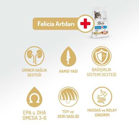 Felicia Düşük Tahıllı Hipoalerjenik Somonlu Yetişkin Kedi Maması 12kg - Thumbnail