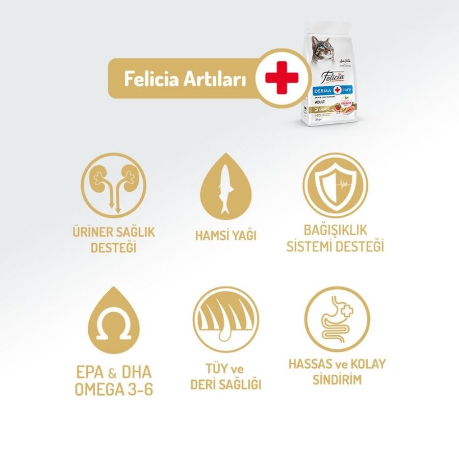Felicia Düşük Tahıllı Hipoalerjenik Somonlu Yetişkin Kedi Maması 12kg
