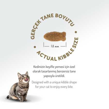 Felicia Düşük Tahıllı Hipoalerjenik Somonlu Yetişkin Kedi Maması 12kg - Thumbnail