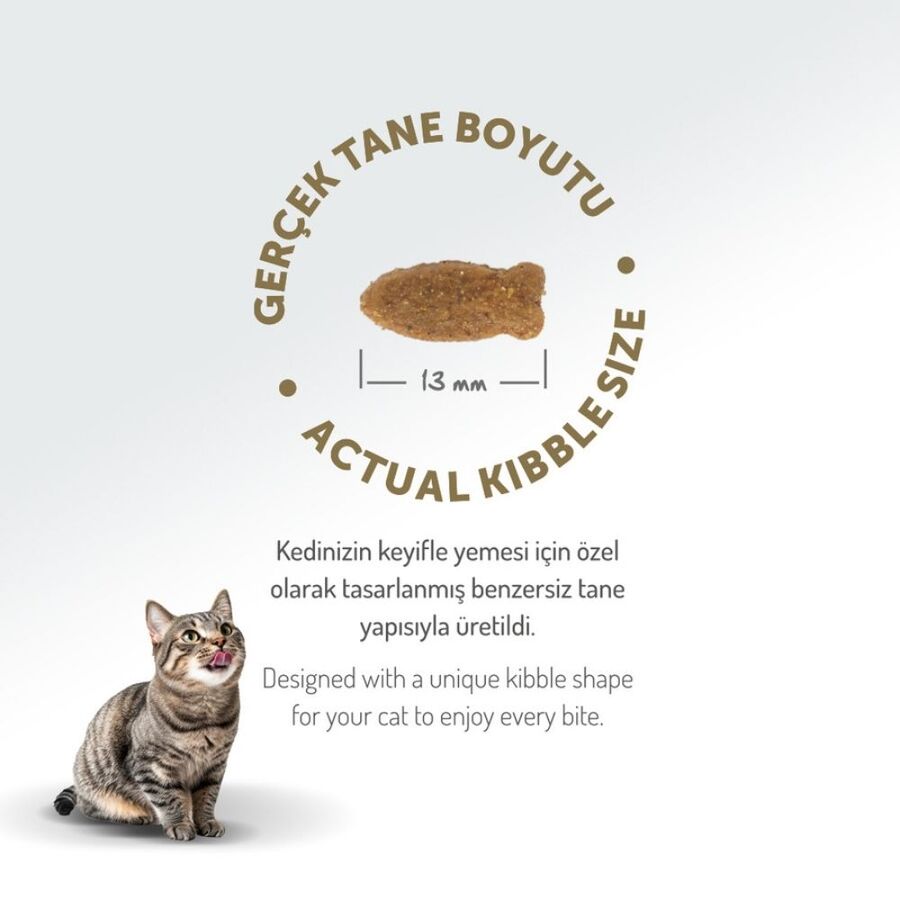 Felicia Düşük Tahıllı Hipoalerjenik Somonlu Yetişkin Kedi Maması 12kg