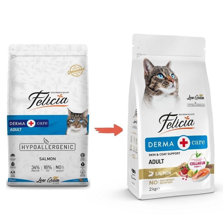 Felicia Düşük Tahıllı Hipoalerjenik Somonlu Yetişkin Kedi Maması 2kg