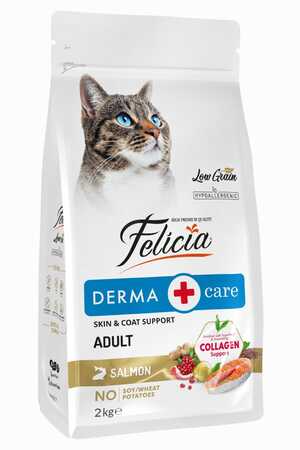 Felicia Düşük Tahıllı Hipoalerjenik Somonlu Yetişkin Kedi Maması 2kg - Thumbnail