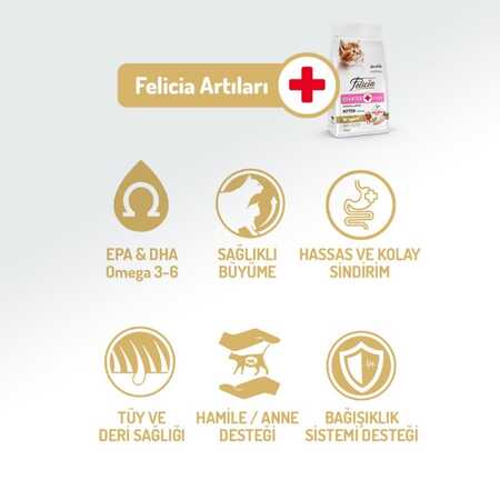 Felicia Düşük Tahıllı Hipoalerjenik Tavuklu Yavru Kedi Maması 2kg - Thumbnail