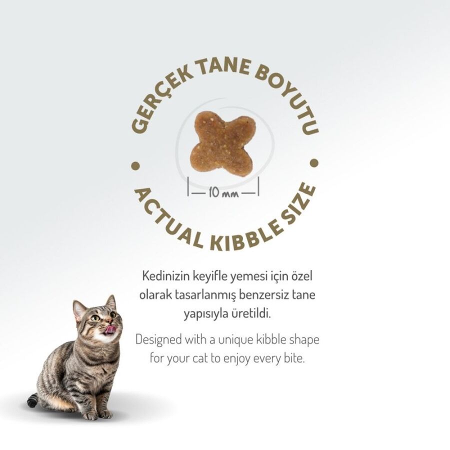 Felicia Düşük Tahıllı Hipoalerjenik Tavuklu Yavru Kedi Maması 2kg
