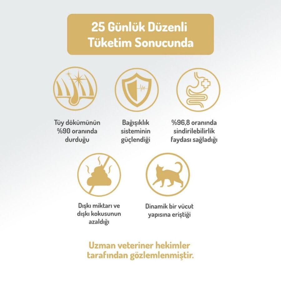 Felicia Düşük Tahıllı Hipoalerjenik Tavuklu Yetişkin Kedi Maması 12kg