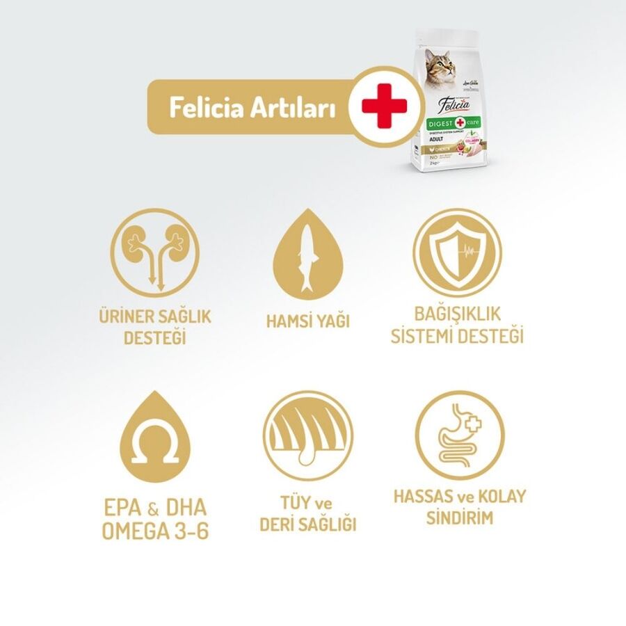Felicia Düşük Tahıllı Hipoalerjenik Tavuklu Yetişkin Kedi Maması 2kg
