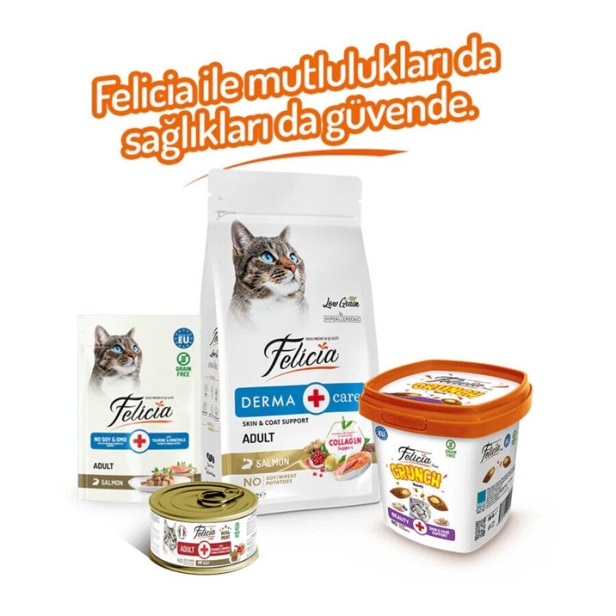 Felicia Beauty Tavuklu Somonlu ve Sütlü Kedi Crunch Ödül Maması 100gr