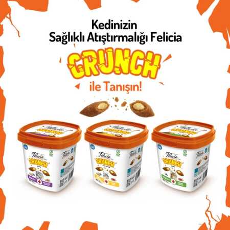 Felicia Beauty Tavuklu Somonlu ve Sütlü Kedi Crunch Ödül Maması 100gr - Thumbnail (3)