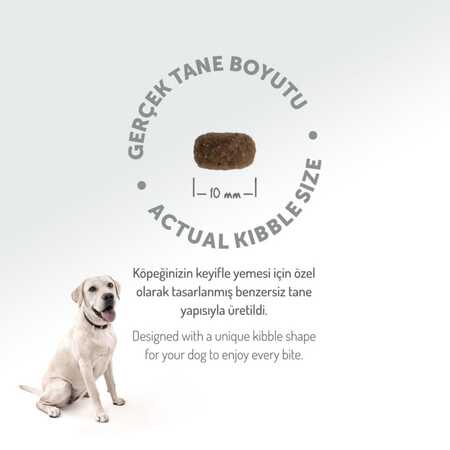 Felicia Düşük Tahıllı Hipoalerjenik Kuzu Etli Küçük Irk Yetişkin Köpek Maması 3kg - Thumbnail