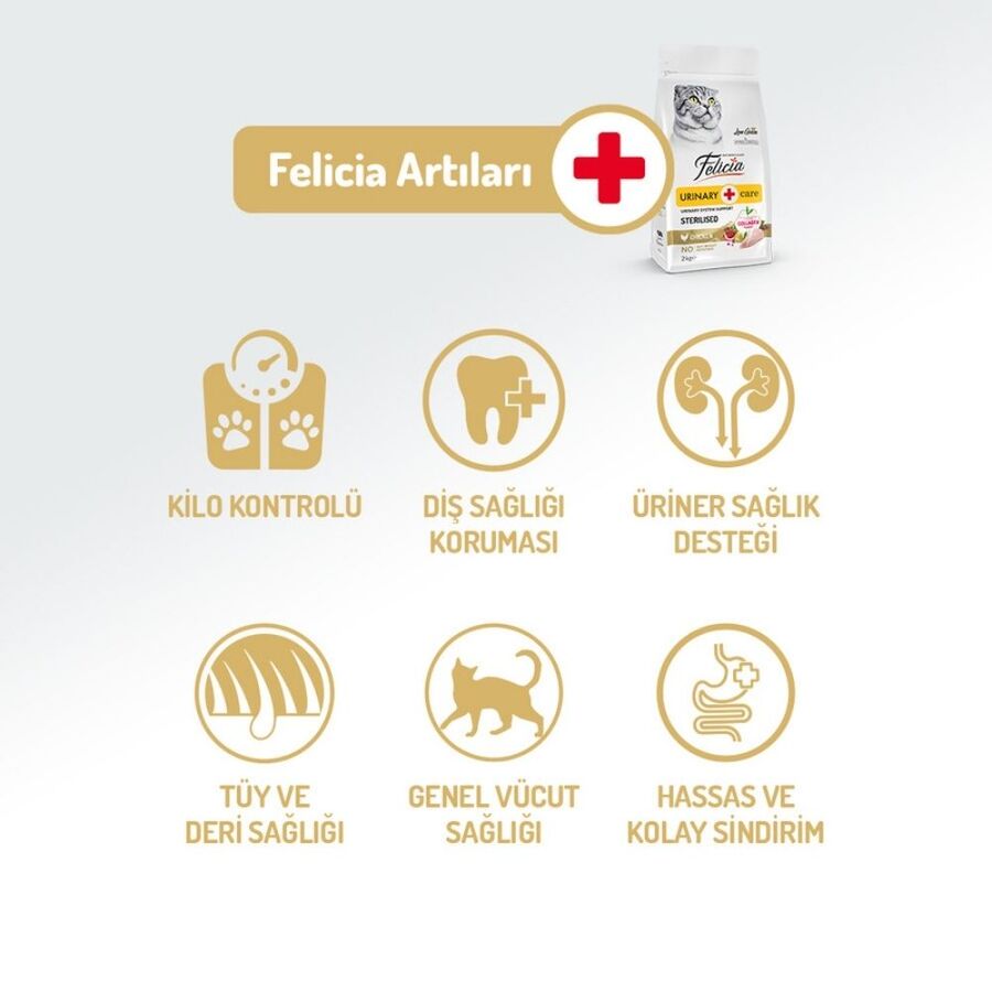 Felicia Düşük Tahıllı Hipoalerjenik Tavuklu Kısırlaştırılmış Yaşlı ve Yetişkin Kedi Maması 12kg