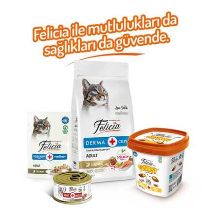 Felicia Anti Hairball Tavuk Etli Yaban Mersinli ve Sütlü Kedi Crunch Ödül Maması 100gr - Thumbnail