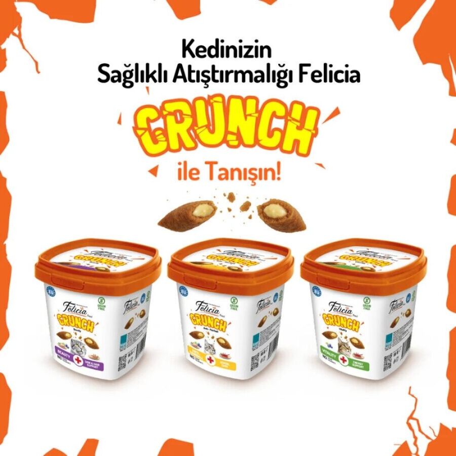 Felicia Anti Hairball Tavuk Etli Yaban Mersinli ve Sütlü Kedi Crunch Ödül Maması 100gr