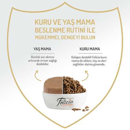 Felicia Tahılsız Somonlu Kısırlaştırılmış Yetişkin Kedi Konservesi 400gr - 4