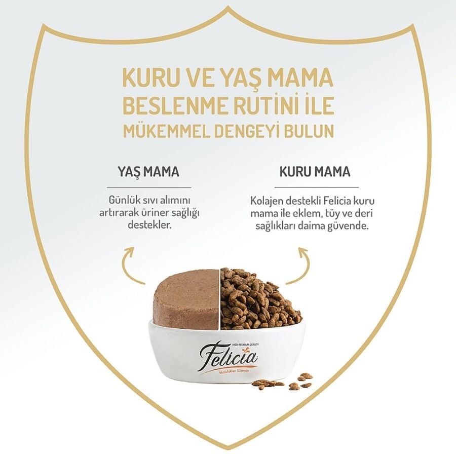 Felicia Tahılsız Somonlu Kısırlaştırılmış Yetişkin Kedi Konservesi 400gr - 4