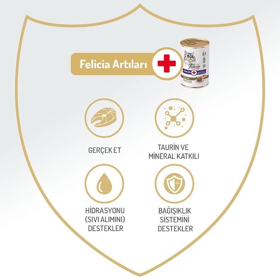 Felicia Tahılsız Somonlu Kısırlaştırılmış Yetişkin Kedi Konservesi 400gr - 5