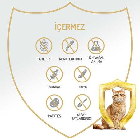 Felicia Tahılsız Somonlu Kısırlaştırılmış Yetişkin Kedi Konservesi 400gr - 3