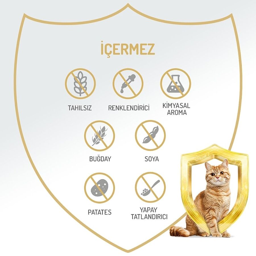 Felicia Tahılsız Somonlu Kısırlaştırılmış Yetişkin Kedi Konservesi 400gr - 3