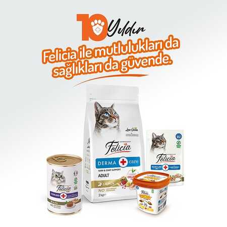 Felicia Tahılsız Somonlu Kısırlaştırılmış Yetişkin Kedi Konservesi 400gr - 6
