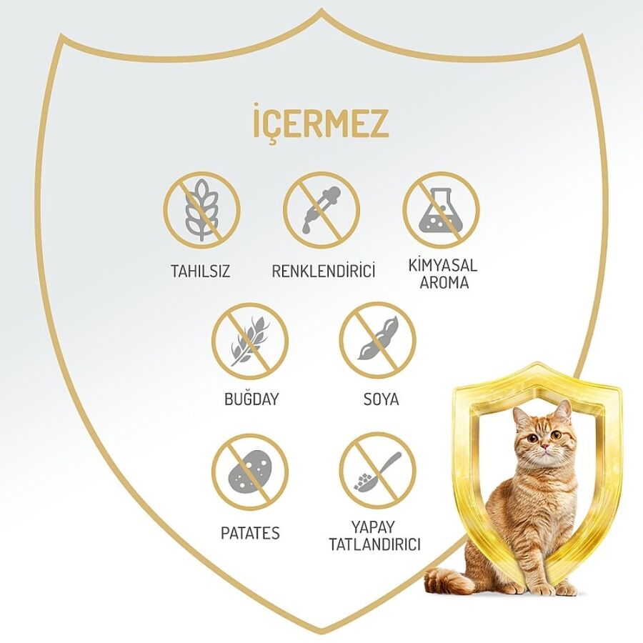 Felicia Tahılsız Biftekli Yetişkin Kedi Konservesi 400gr - 4