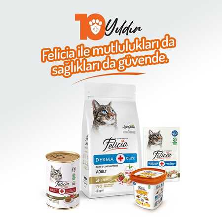 Felicia Tahılsız Biftekli Yetişkin Kedi Konservesi 400gr - 7