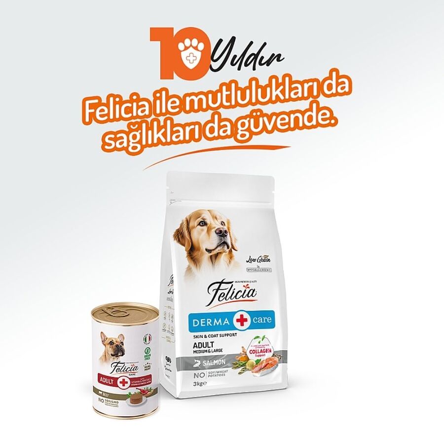 Felicia Tahılsız Biftekli Yetişkin Köpek Konservesi 400gr