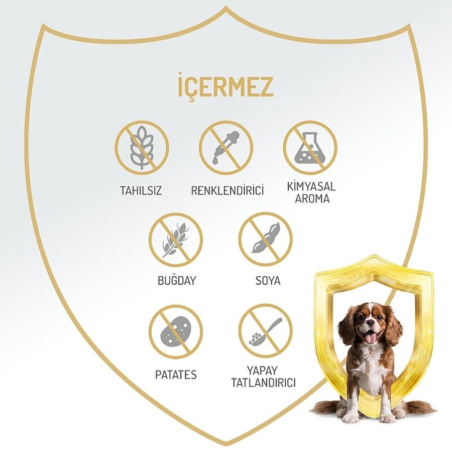 Felicia Tahılsız Biftekli Yetişkin Köpek Konservesi 400gr