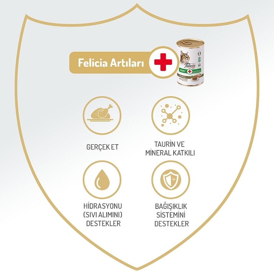 Felicia Tahılsız Tavuklu Yetişkin Kedi Konservesi 400gr - 6