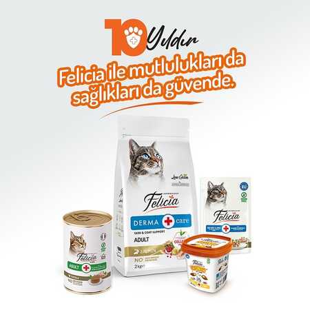 Felicia Tahılsız Tavuklu Yetişkin Kedi Konservesi 400gr - 7