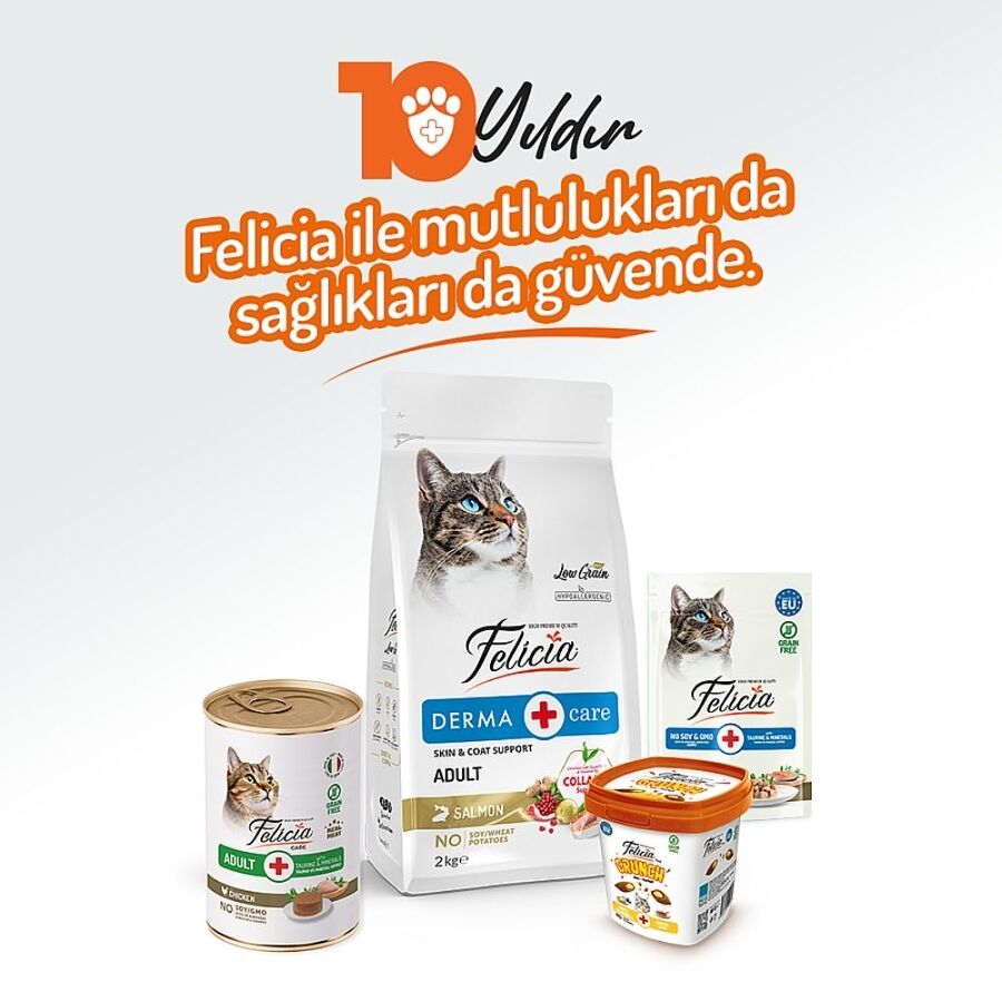 Felicia Tahılsız Tavuklu Yetişkin Kedi Konservesi 400gr - 7