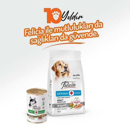Felicia Tahılsız Tavuklu Yetişkin Köpek Konservesi 400gr - Thumbnail