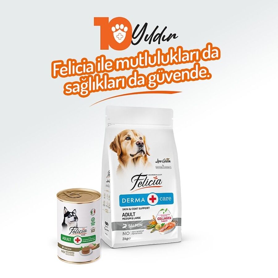 Felicia Tahılsız Tavuklu Yetişkin Köpek Konservesi 400gr