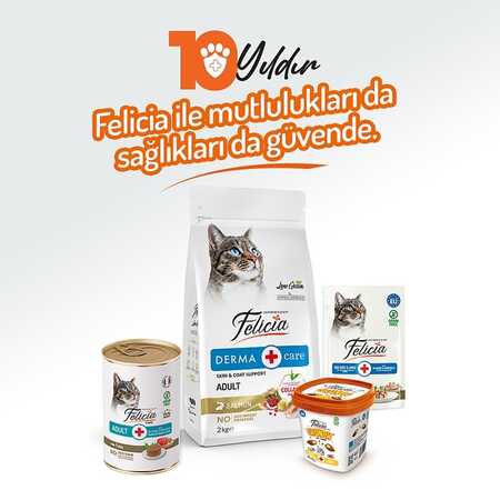 Felicia Tahılsız Ton Balıklı Yetişkin Kedi Konservesi 400gr - 7