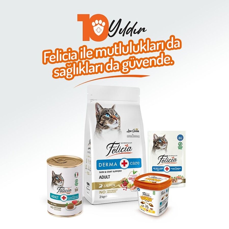 Felicia Tahılsız Ton Balıklı Yetişkin Kedi Konservesi 400gr - 7