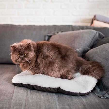 Ferplast 55 4 Relax Marrone Bej Peluş Yatak - Thumbnail