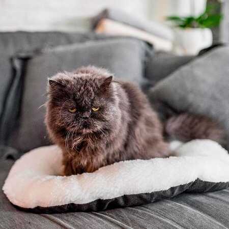 Ferplast 55 4 Relax Marrone Bej Peluş Yatak - Thumbnail (2)