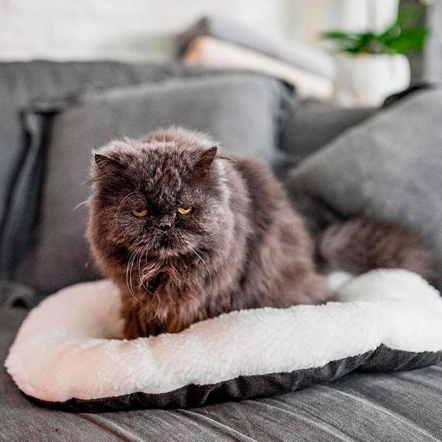 Ferplast 55 4 Relax Marrone Bej Peluş Yatak