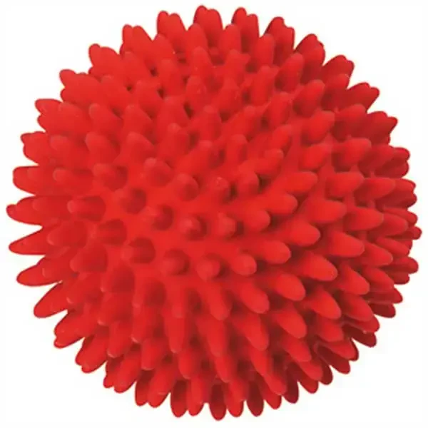 FLAMINGO - Flamingo Latex Sivri Köpek Oyun Topu 9cm