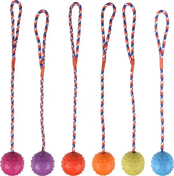 Flamingo Renkli İpli Kauçuk Top Köpek Oyuncağı 5,5cm