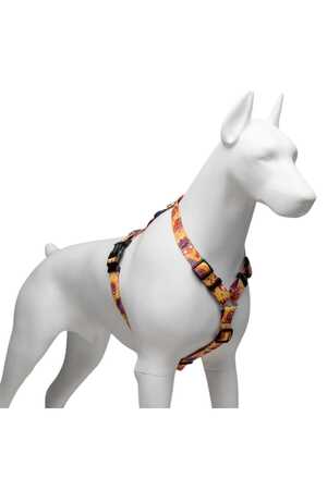 Lindo Gingerman H Tipi Göğüs Tasması S - Thumbnail (2)