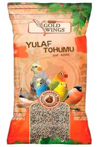 GOLDWİNGS - Gold Wings Yulaf 300 gr