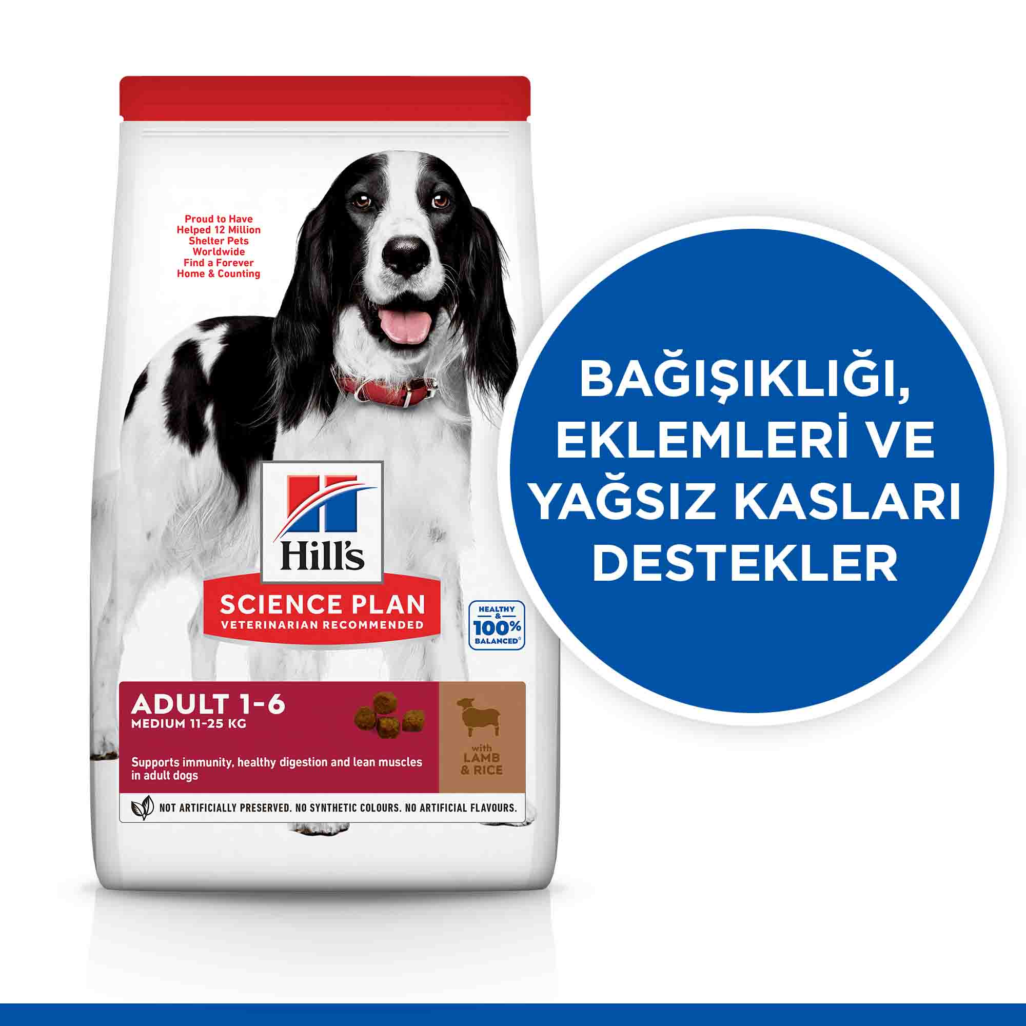 Hills Kuzu Eti ve Pirinçli Orta Irk Yetişkin Köpek Maması 2,5kg
