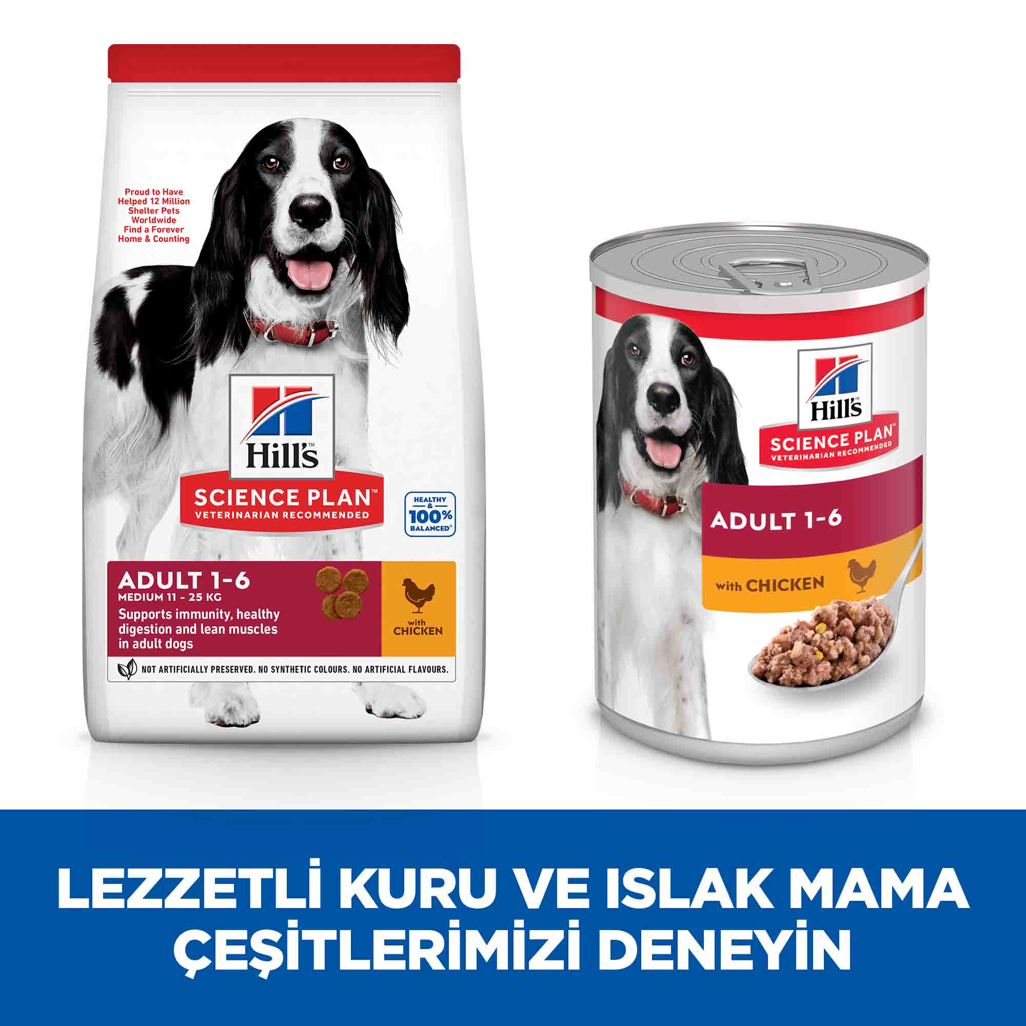Hills Tavuklu Orta Irk Yetişkin Köpek Maması 2,5kg