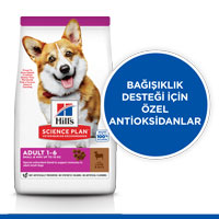 Hills Kuzu Eti ve Pirinçli Küçük Irk Yetişkin Köpek Maması 6kg - Thumbnail (1)