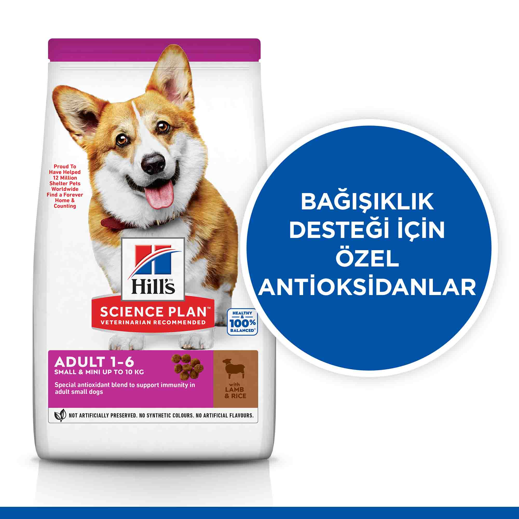 Hills Kuzu Eti ve Pirinçli Küçük Irk Yetişkin Köpek Maması 6kg - 2