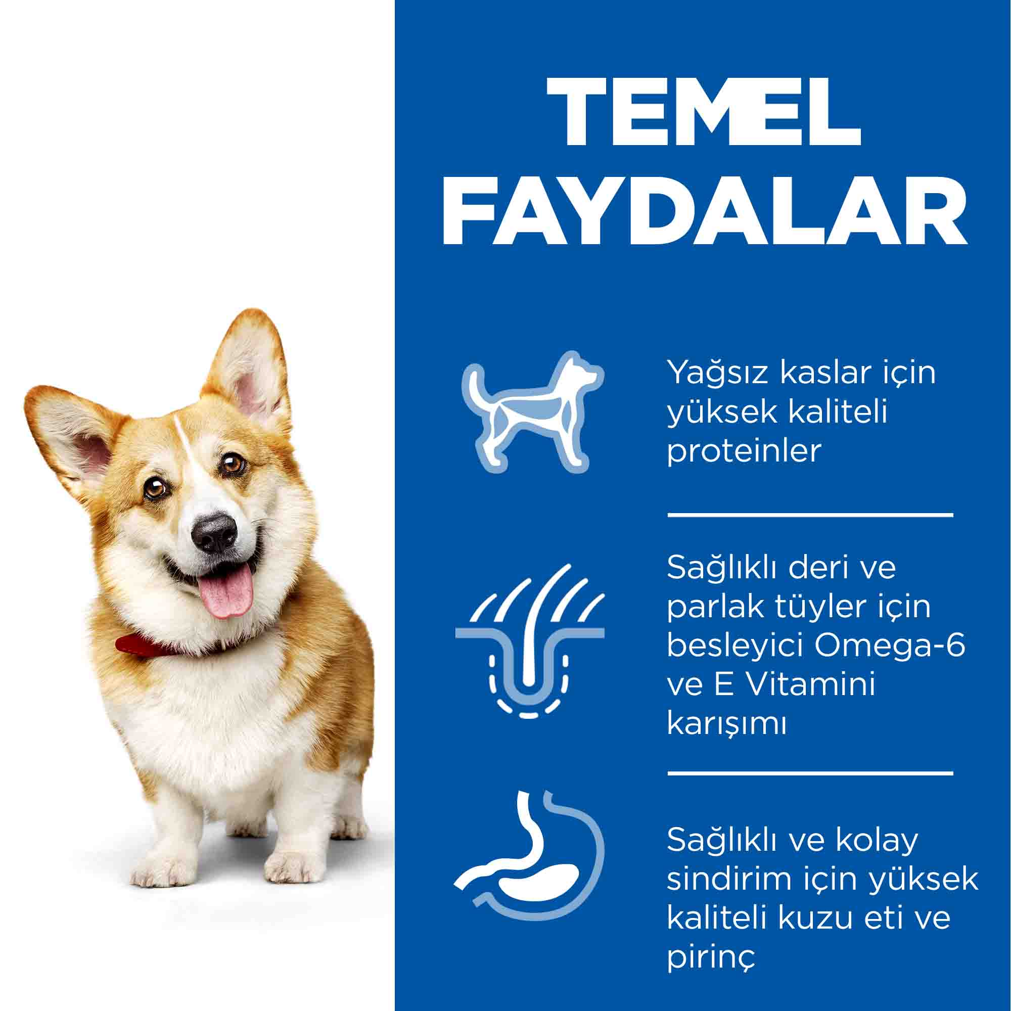 Hills Kuzu Eti ve Pirinçli Küçük Irk Yetişkin Köpek Maması 6kg - 4